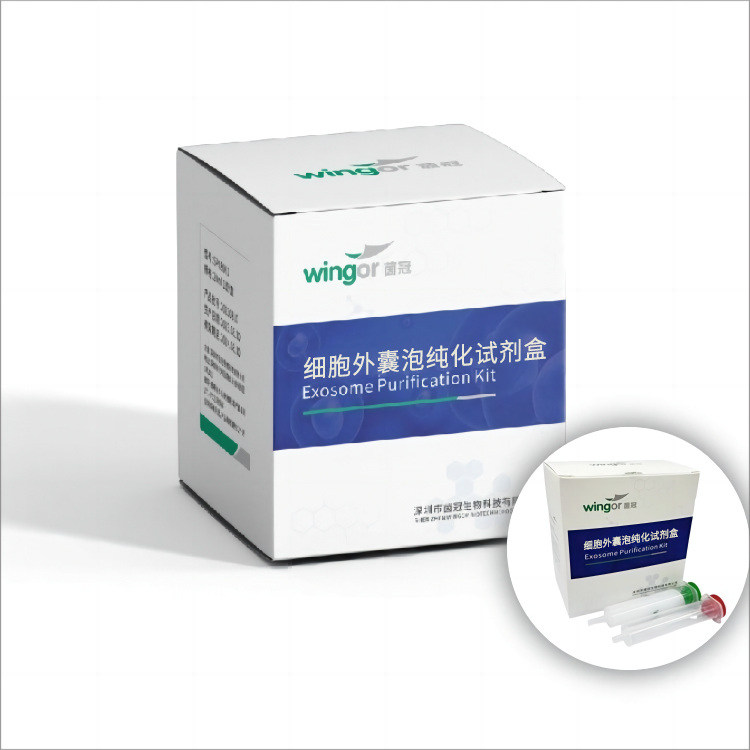 Real-Evs™细胞外囊泡纯化试剂盒